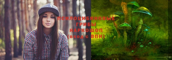 эйфоретик Саяногорск