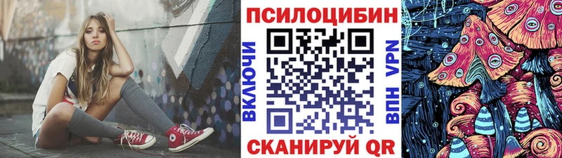 Галлюциногенные грибы Psilocybine cubensis  blacksprut ссылки  Сенгилей  купить  
